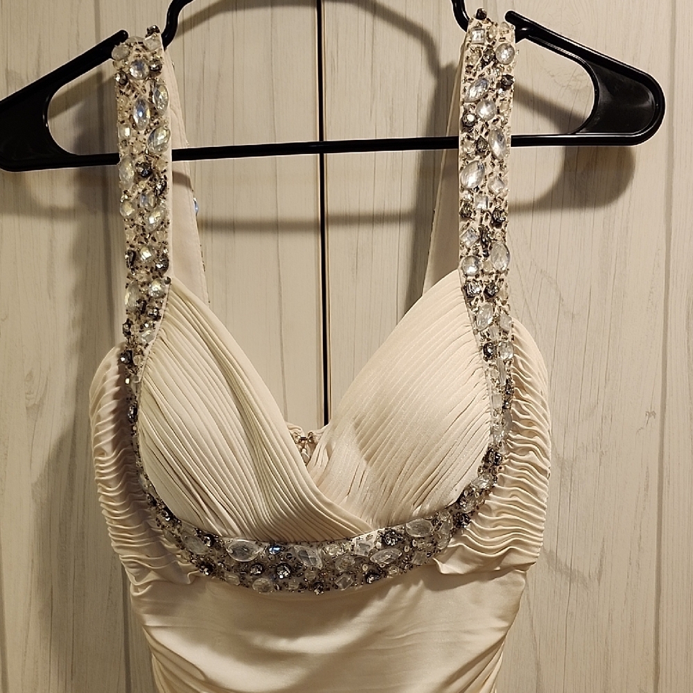 Cache Cream and Silver Backless Dress - Picture 4 of 11